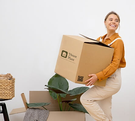 Your Shipping Solution, Now Fully Customisable!